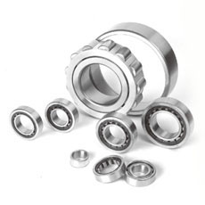 Cylindrical Roller Bearings