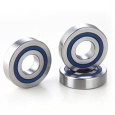LR NPP NPPU Series Bearings